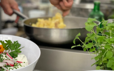 🌻 ERNTEZEIT bei „Gartenland in Kinderhand“! 🥕