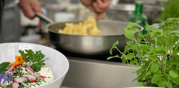 🌻 ERNTEZEIT bei „Gartenland in Kinderhand“! 🥕